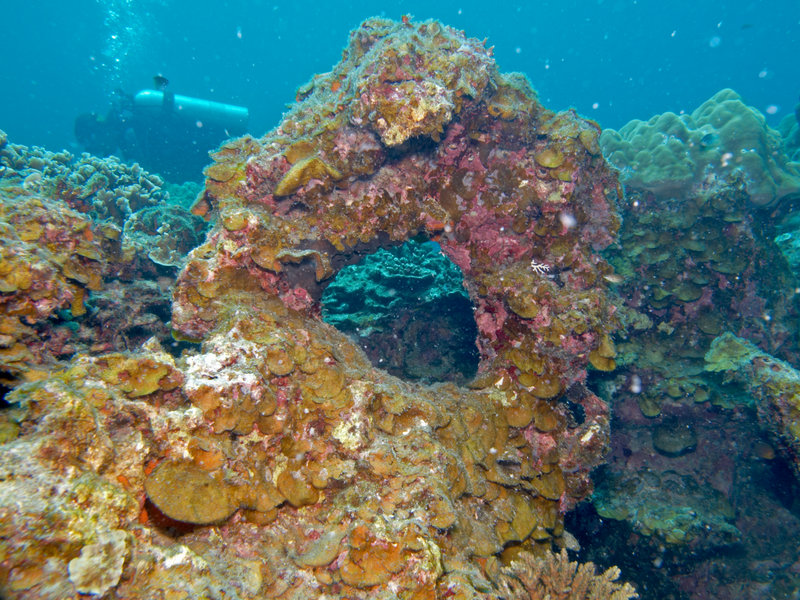 Underwater Scene